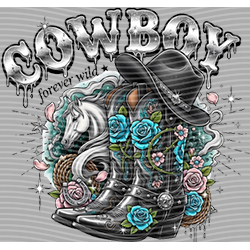 Country music-CU 1382